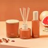 Furn. Wildlings Amber, Cinnamon & Mandarin Scented Home Fragrance Gift Set - Brown